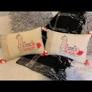 2 throw pillows